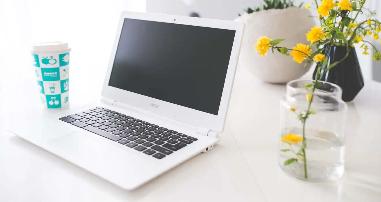 Ремонт ноутбуков Acer в Таганроге